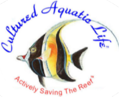 Cultured Aquatic Life
